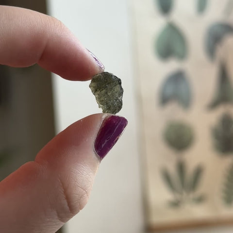 Moldavite "Myles"