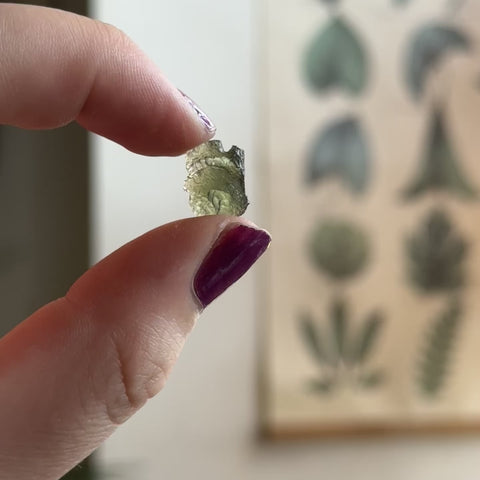 Moldavite "Lucille"