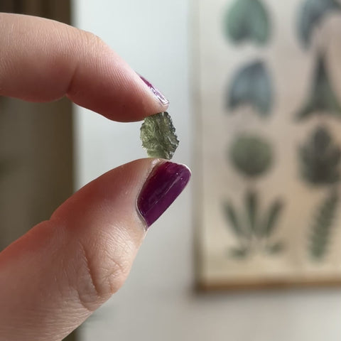 Moldavite "Phoebe"