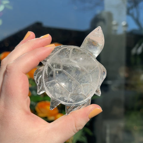 Clear Quartz Turtle "Henry"