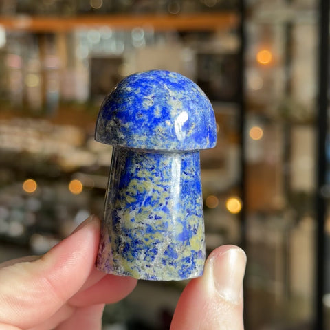 Lapis Lazuli Mushroom "Troy"