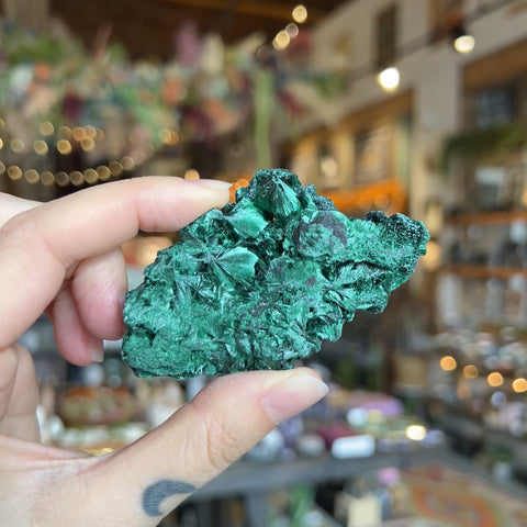 Fibrous Malachite "Zachary"