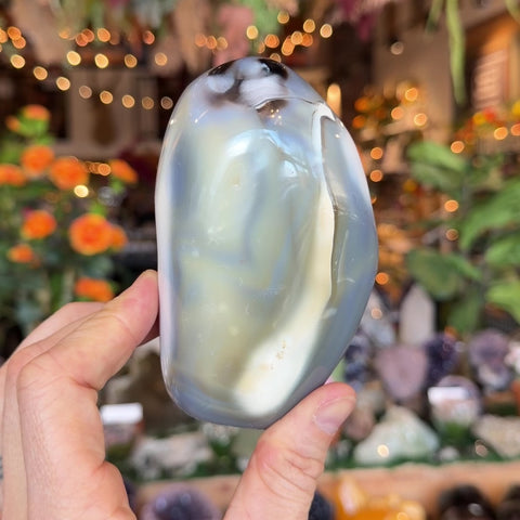 Orca Agate "Shane"