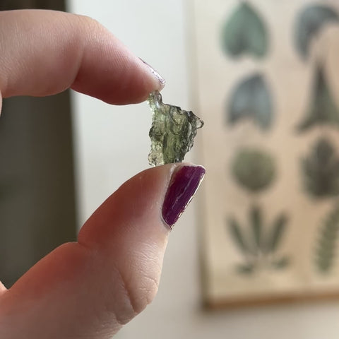 Moldavite "Felix"
