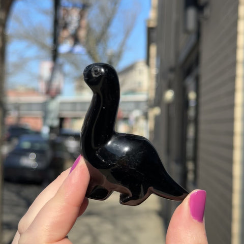 Obsidian Dinosaur "Pierre"