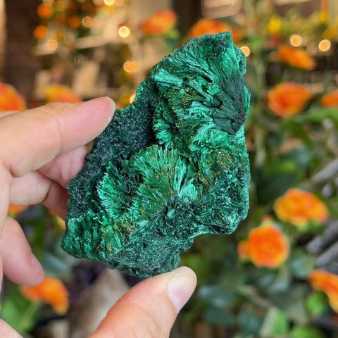 Fibrous Malachite "Dustin"