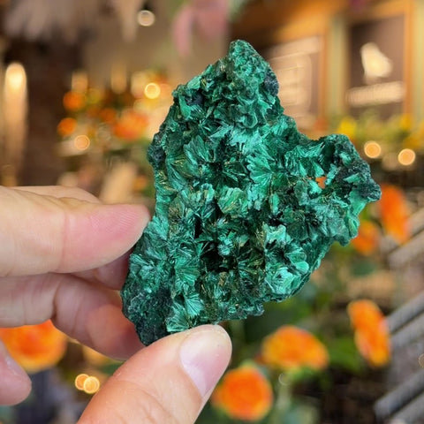 Fibrous Malachite "Glinda"