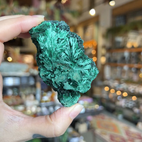 Fibrous Malachite "Billy"