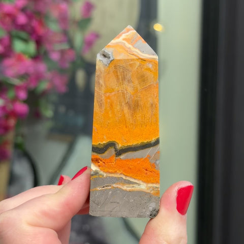Bumblebee Jasper "Hector"