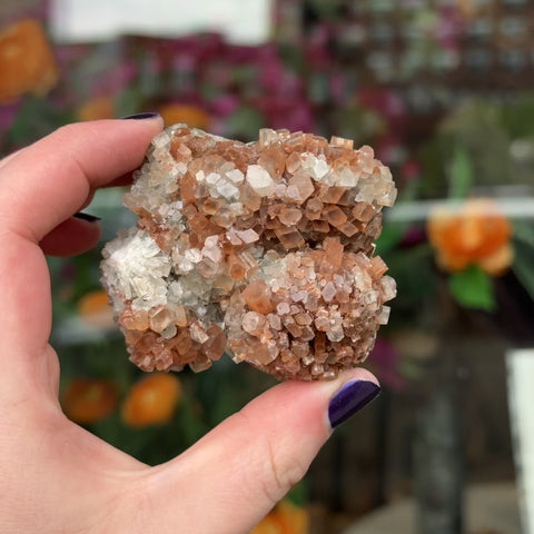 Aragonite "Charles"