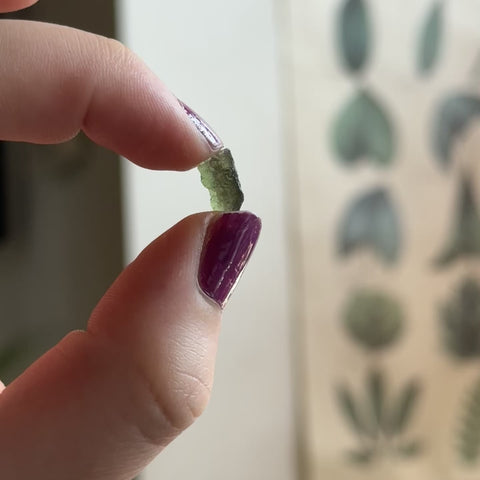 Moldavite "Diana"
