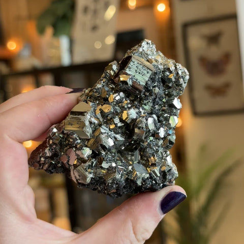 Pyrite "Natasha"