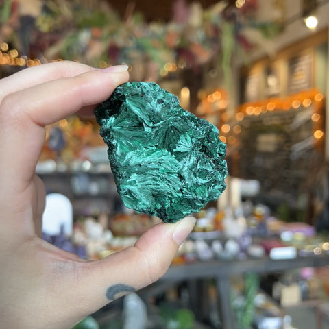 Fibrous Malachite "Charlie"