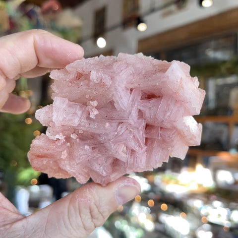 Pink Halite "Rizzo"