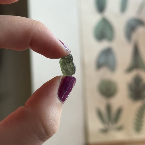 Moldavite "Zion"