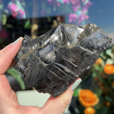 Elite Shungite "Eva"