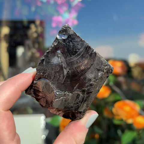Elite Shungite "Laurie"