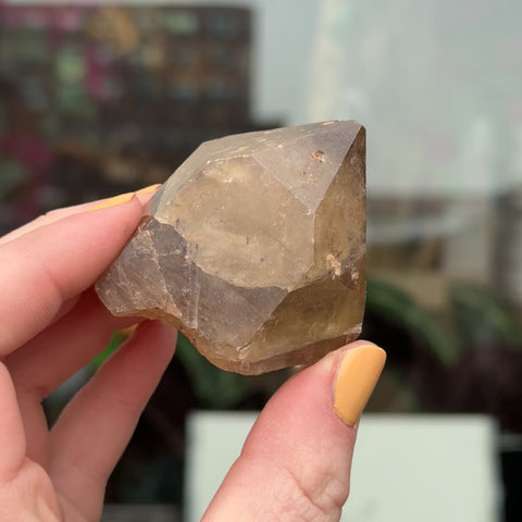Natural Citrine "Leo"