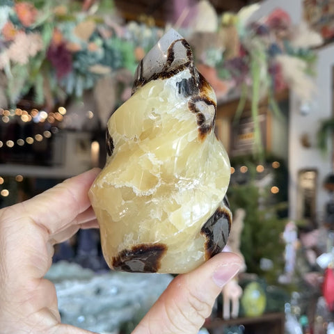 Septarian Stone "Anita"