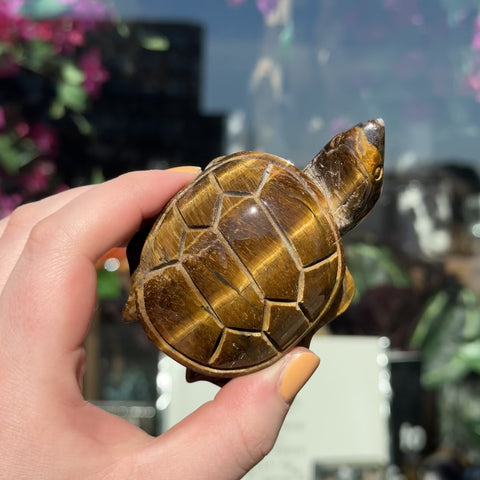 Tiger's Eye Turtle "Melinda"