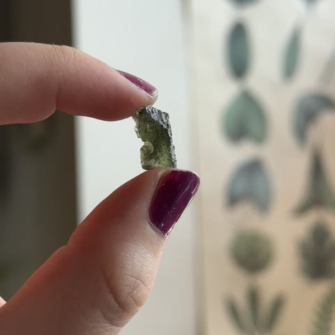 Moldavite "Mariana"