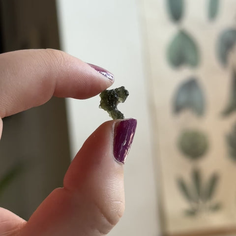 Moldavite "Olive"