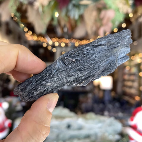 Black Kyanite "Carter"