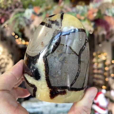 Septarian Stone "Lee"