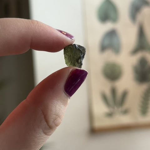 Moldavite "Wesley"