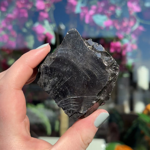 Elite Shungite "Wilson"
