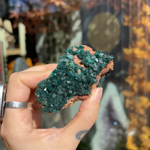 Dioptase "Eliza"