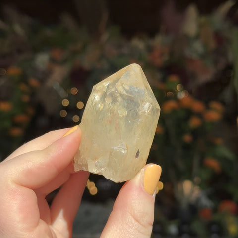 Natural Citrine "Barb"