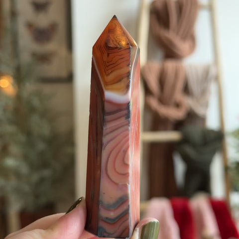 Sardonyx Point "Sandy"