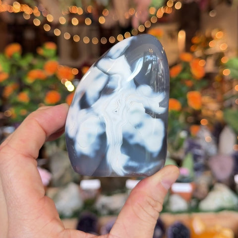 Orca Agate "Casey"