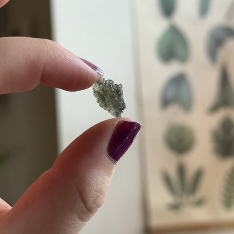 Moldavite "Noelle"