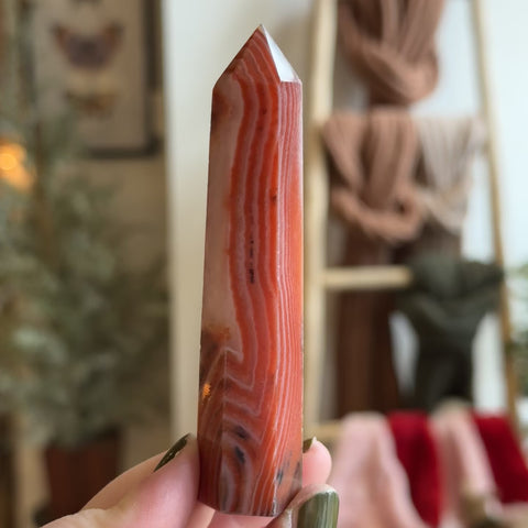 Sardonyx Point "Donald"