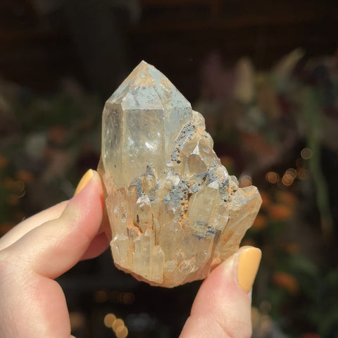Natural Citrine "Maximus"
