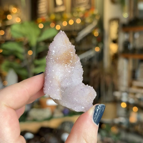 Cactus Amethyst "Lucy"