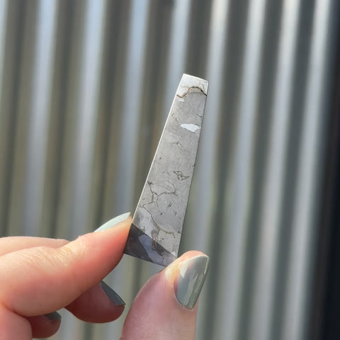 Campo del Cielo "Lyra"