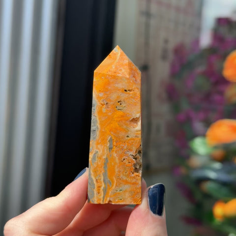 Bumblebee Jasper "Antoine"