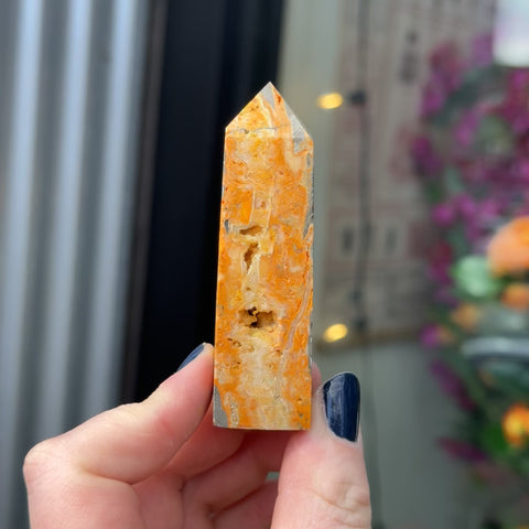 Bumblebee Jasper "Nicoletta"