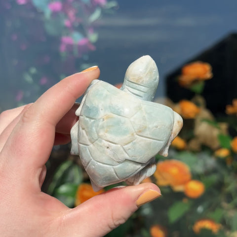 Amazonite Turtle "Stephen"
