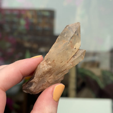 Natural Citrine "May"