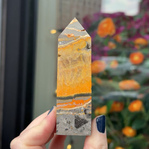 Bumblebee Jasper "Walter"