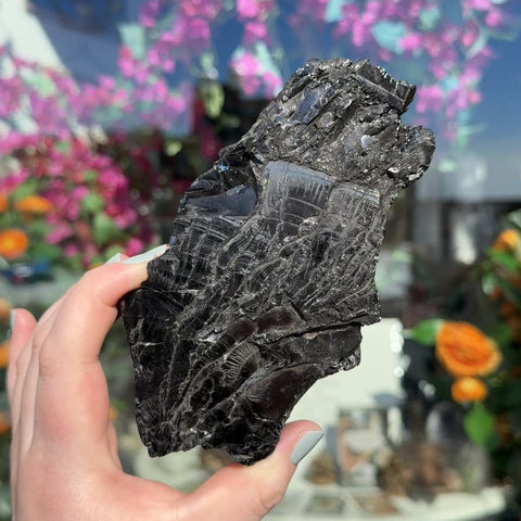 Elite Shungite "Prince"