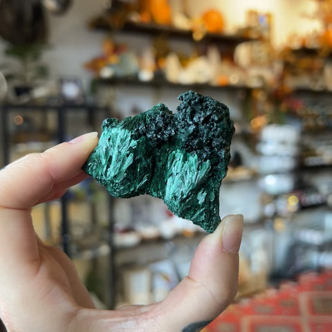 Fibrous Malachite "Steven"