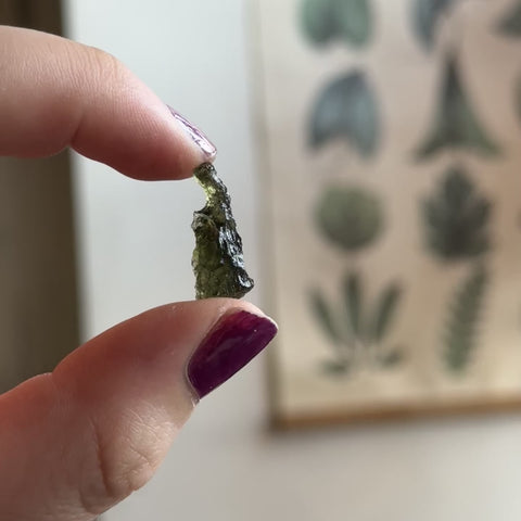 Moldavite "Shane"