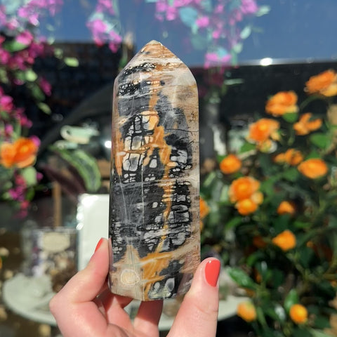 Picasso Jasper "Yasmeen"