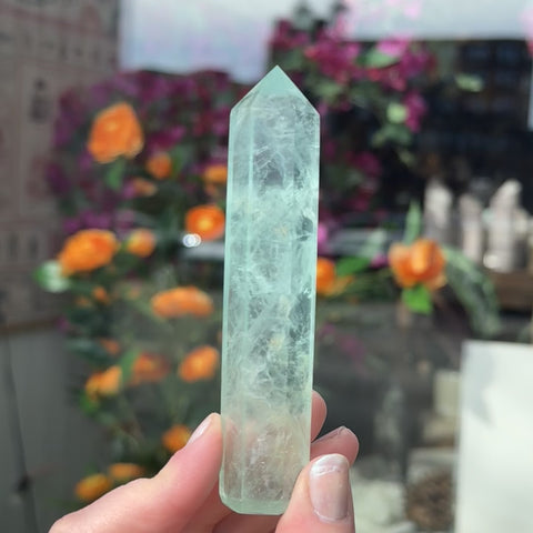 Fluorite "Arturo"