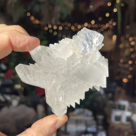 Angel Wing Selenite "Helly"